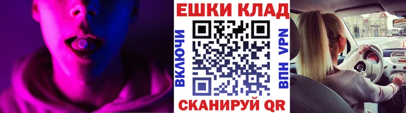 ЭКСТАЗИ Punisher Шенкурск