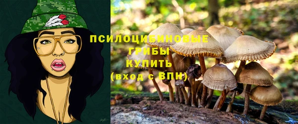 2c-b Беломорск